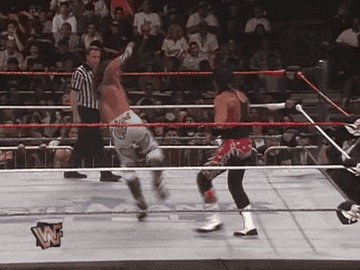 Shawn Michaels hit Super Kick on Bret Hart