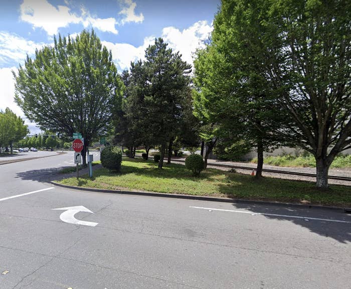 A small grassy triangle with trees off a highway