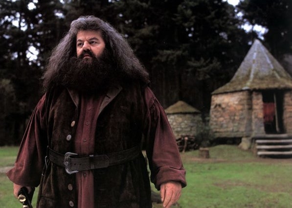 Robbie Coltrane as Hagrid