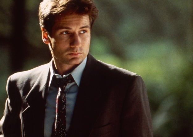 David Duchovny as Fox Mulder