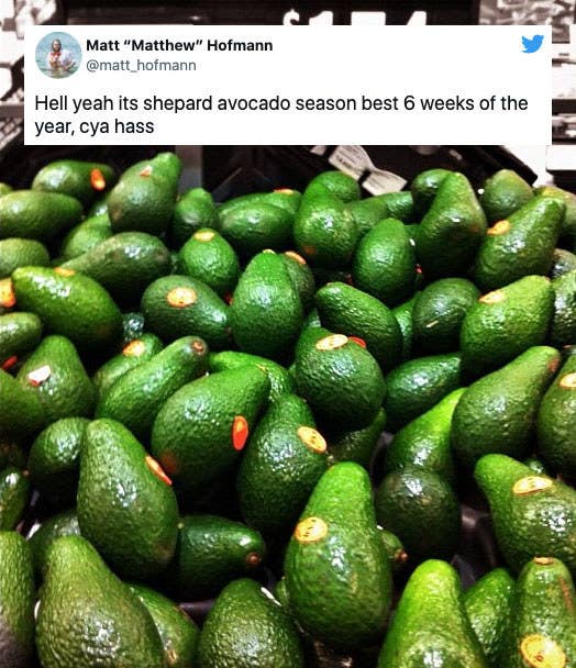a pile of avocados