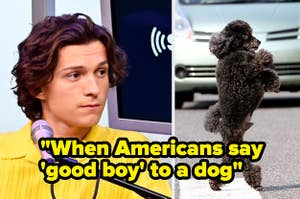 when americans say good boy to a dog