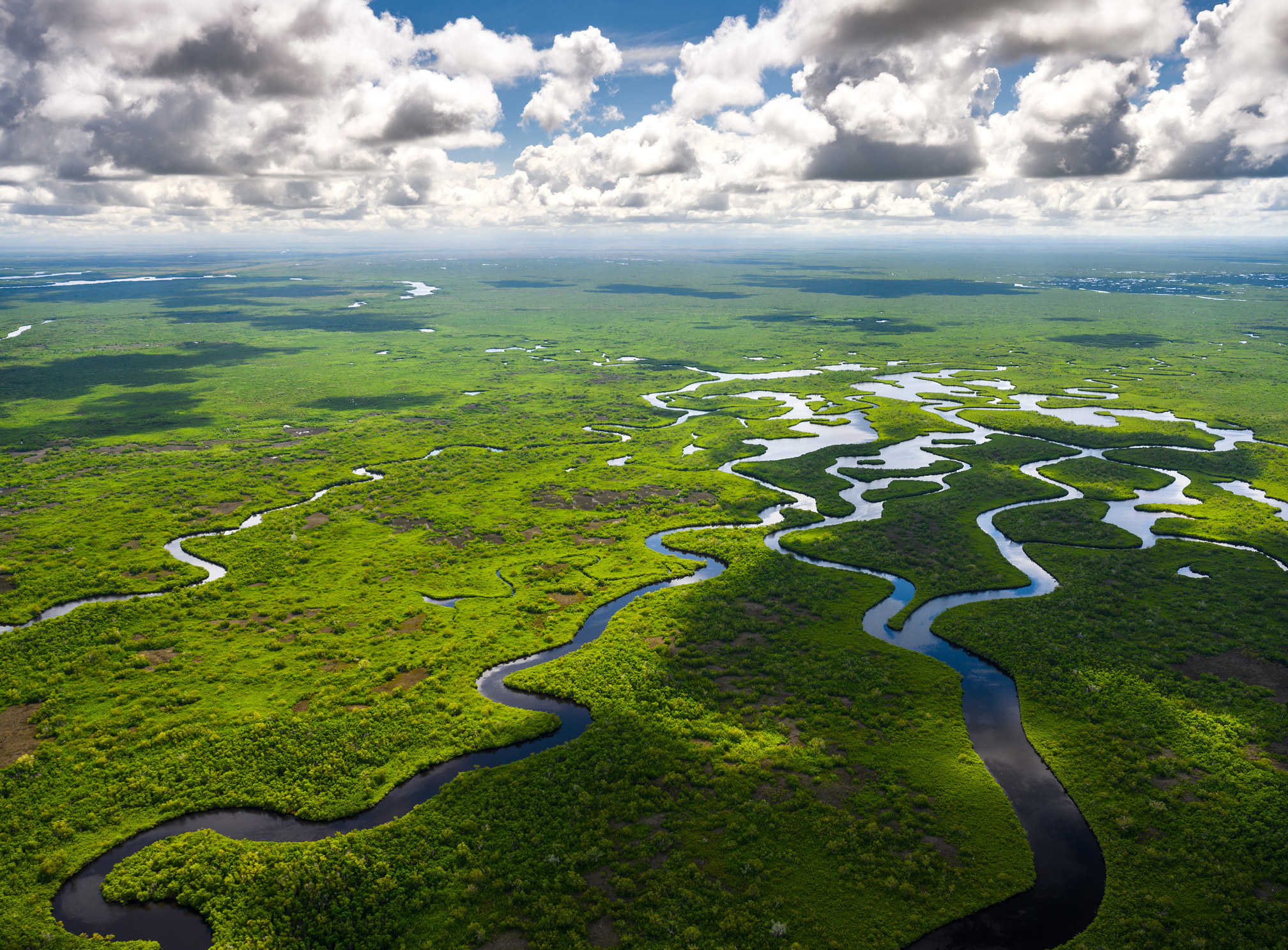 Aerial view of the Everglades.