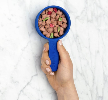 person holding cup filled with dog food