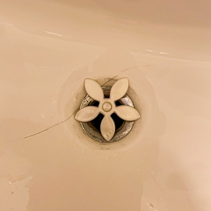 the flower-shaped drain strainer inside a sink drain