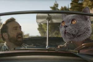 Nicolas Cage driving in a car with his cat