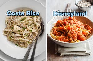 On the left, some chicken Alfredo labeled Costa Rica, and on the right, some spaghetti with meat sauce labeled Disneyland