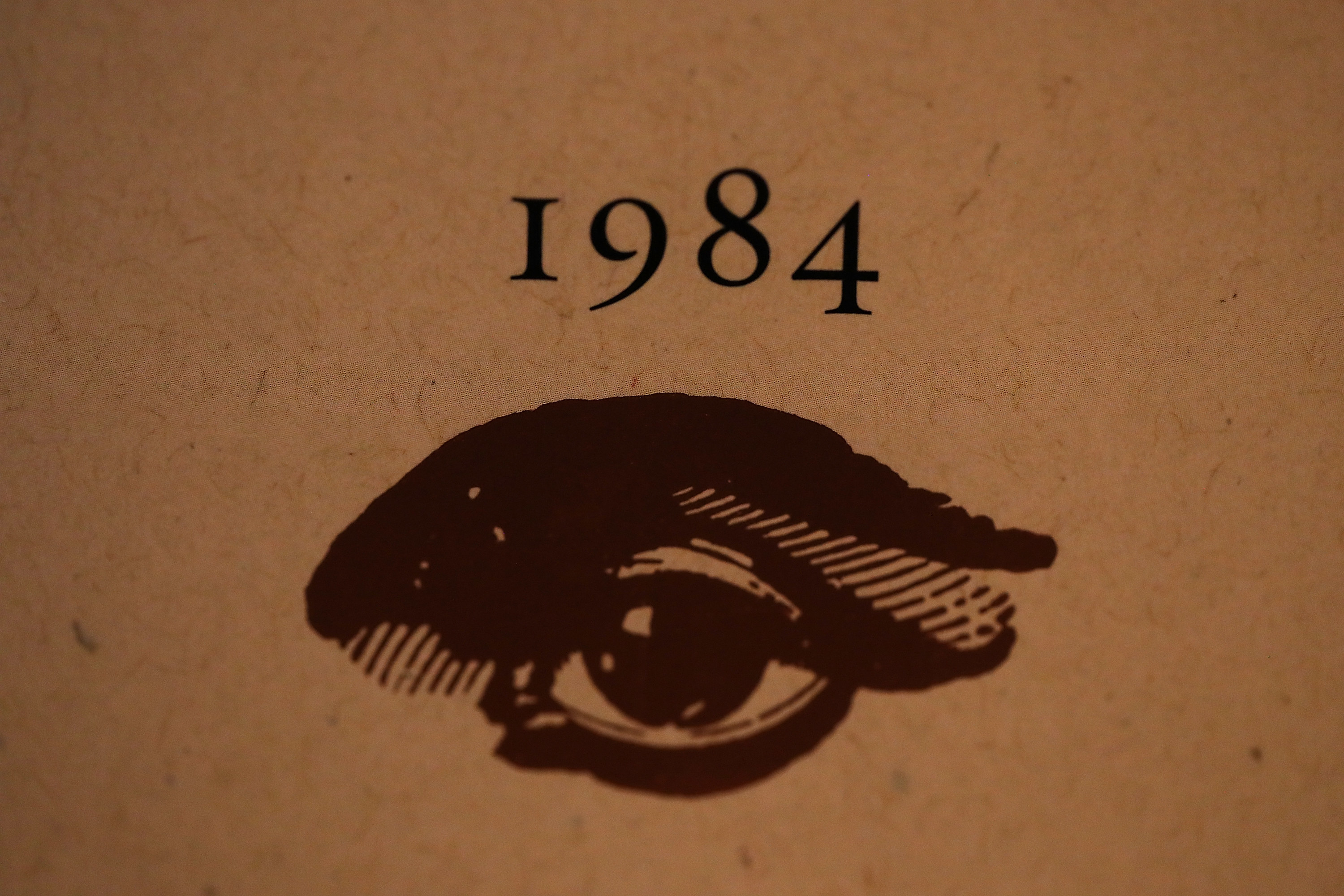 A close-up of a page featuring &#x27;1984&#x27; and a drawing of an eye