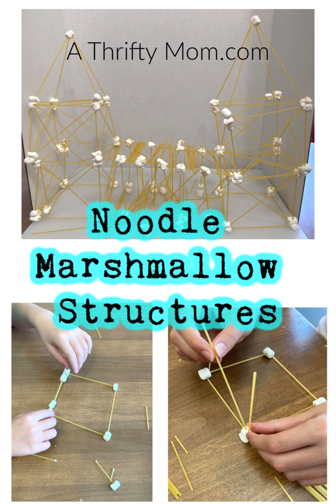 Blogger&#x27;s photo of various marshmallow noodle structures