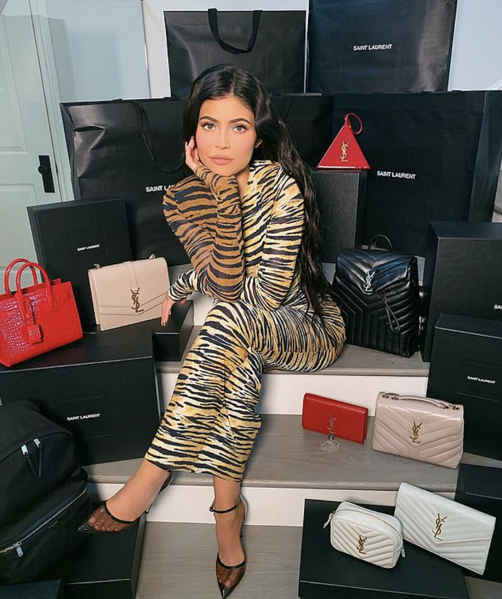 kylie jenner louis vuitton bag