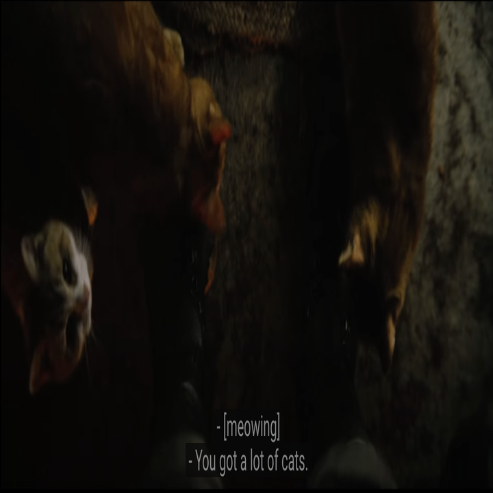 Screenshot of cats from "The Batman"