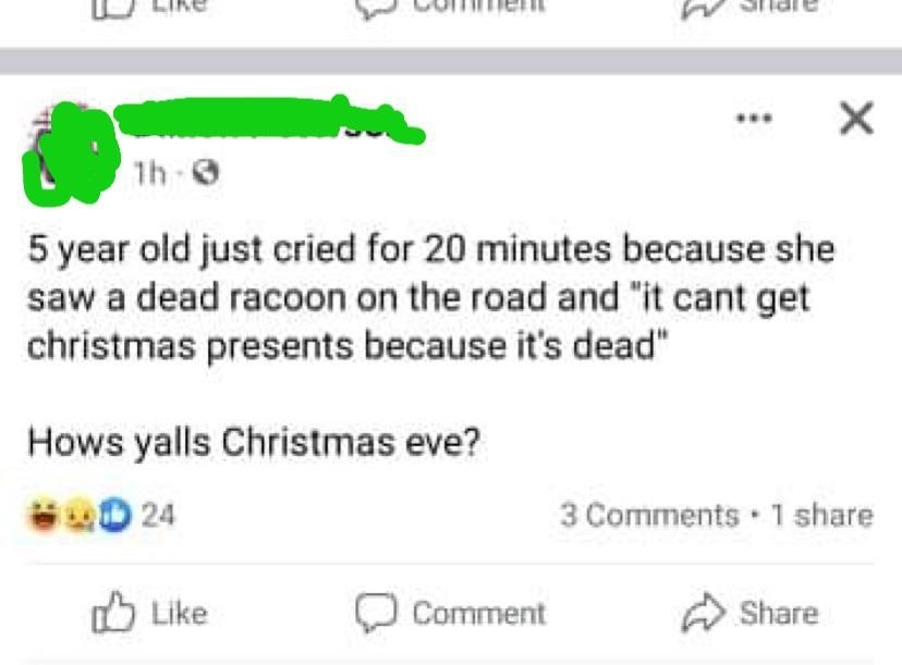 Kid cries on Christmas Eve because a dead raccoon she saw in the road can&#x27;t celebrate Christmas