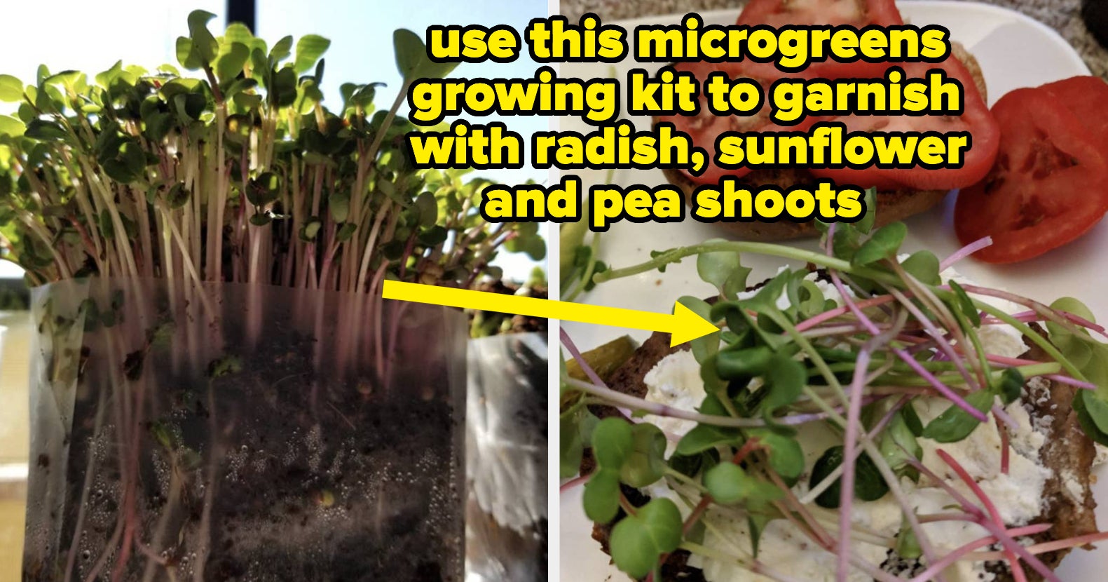 30 Starter Kits To Help You Find A New Hobby