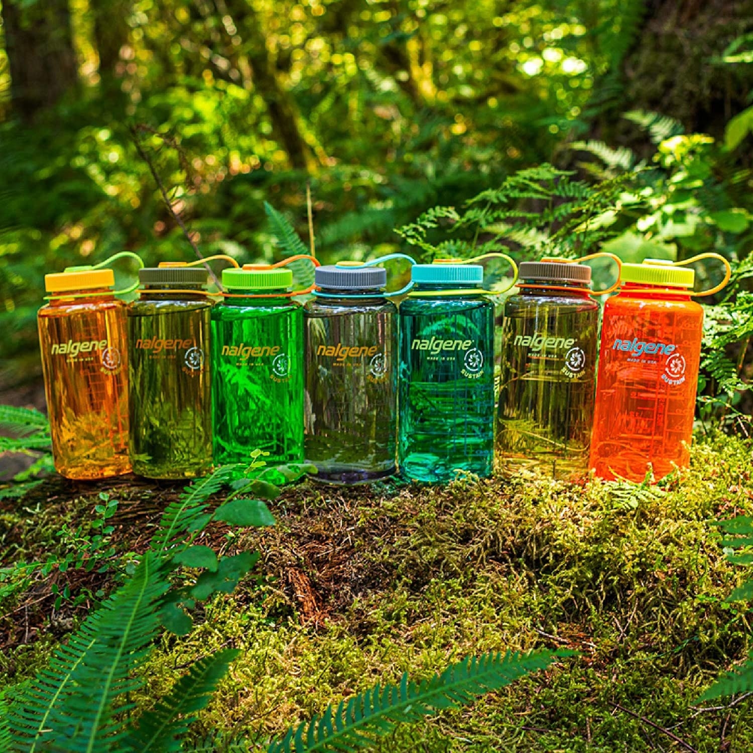 A collection of bottles lined up in a forest