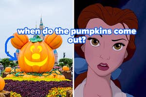 when do the pumpkins come out
