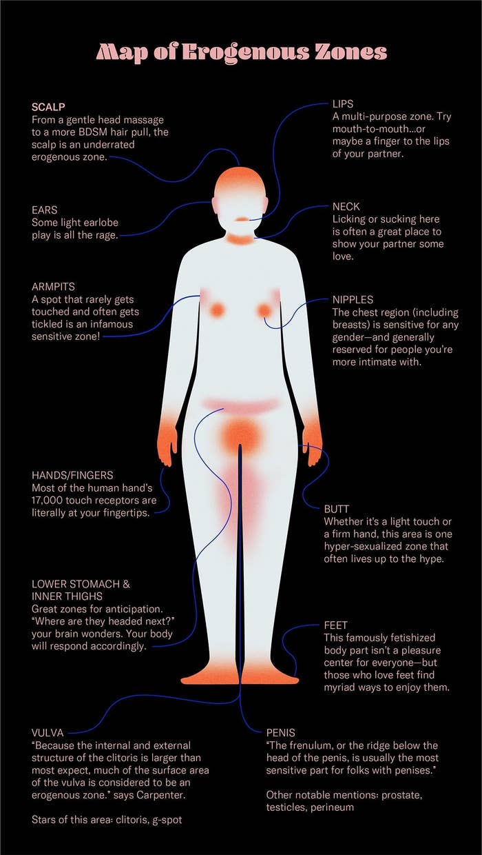 Map of erogenous zones with descriptions