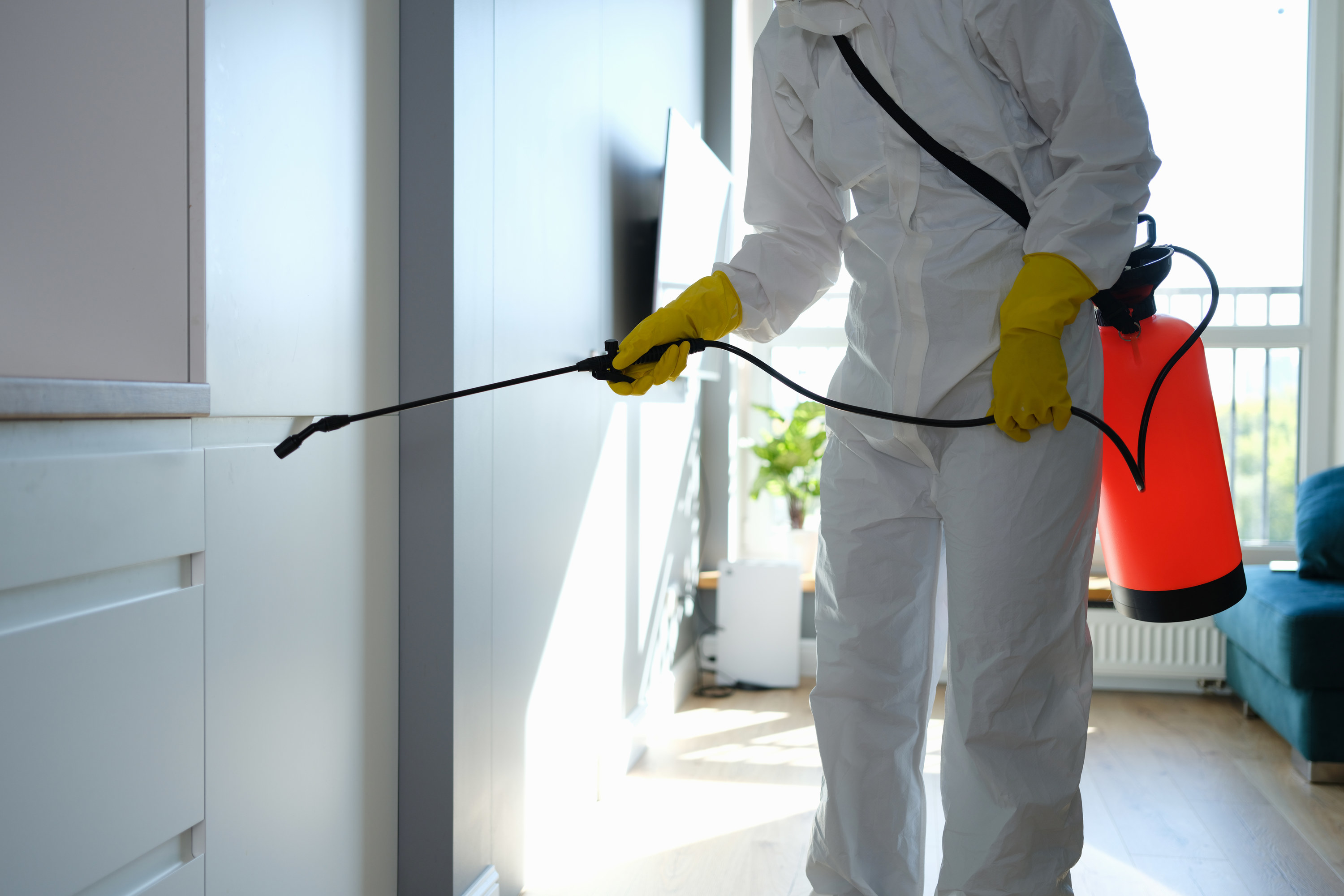 a person fumigating the inside of a house