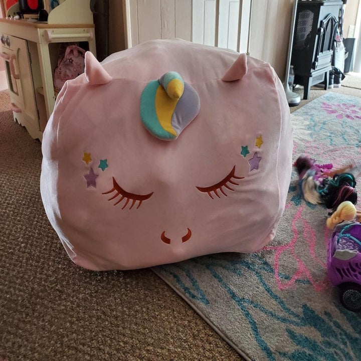 Reviewer's photo showing the bean bag