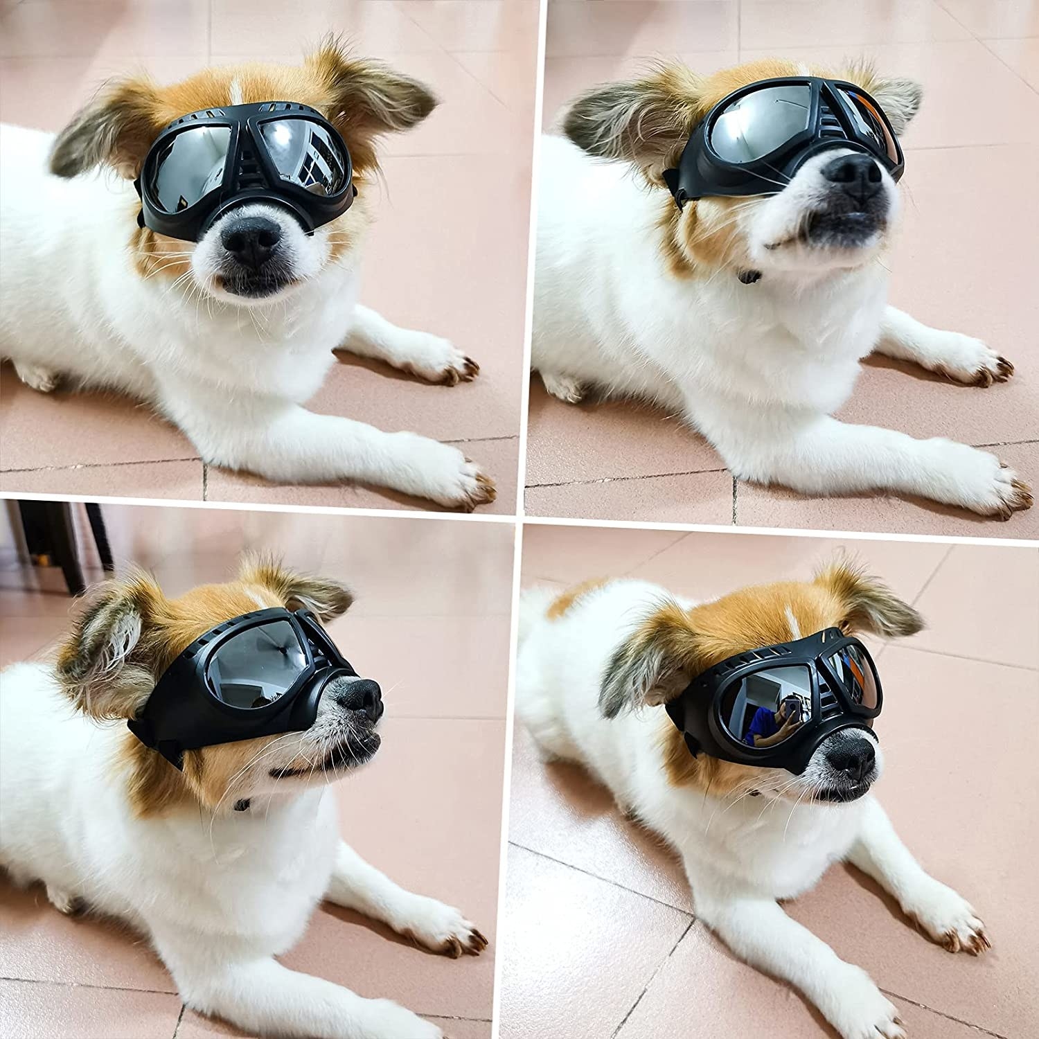 A four-photo collage of a small dog wearing the goggles and laying on a tile floor