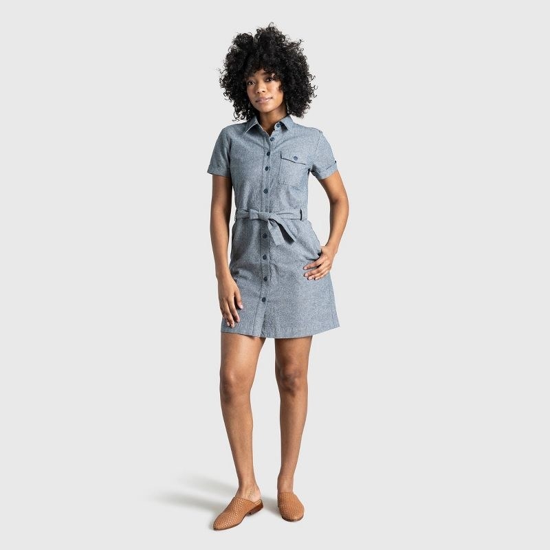 Model wearing blue button down dress