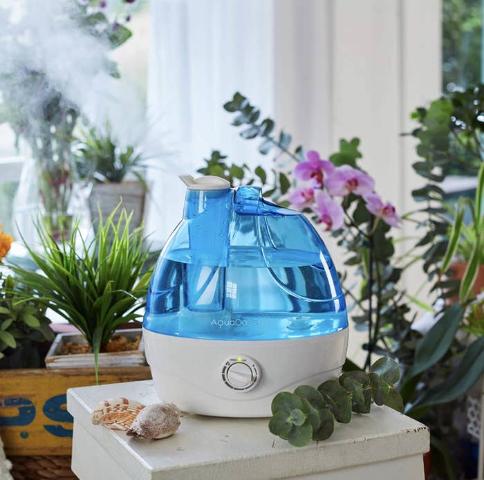 cold mist humidifier