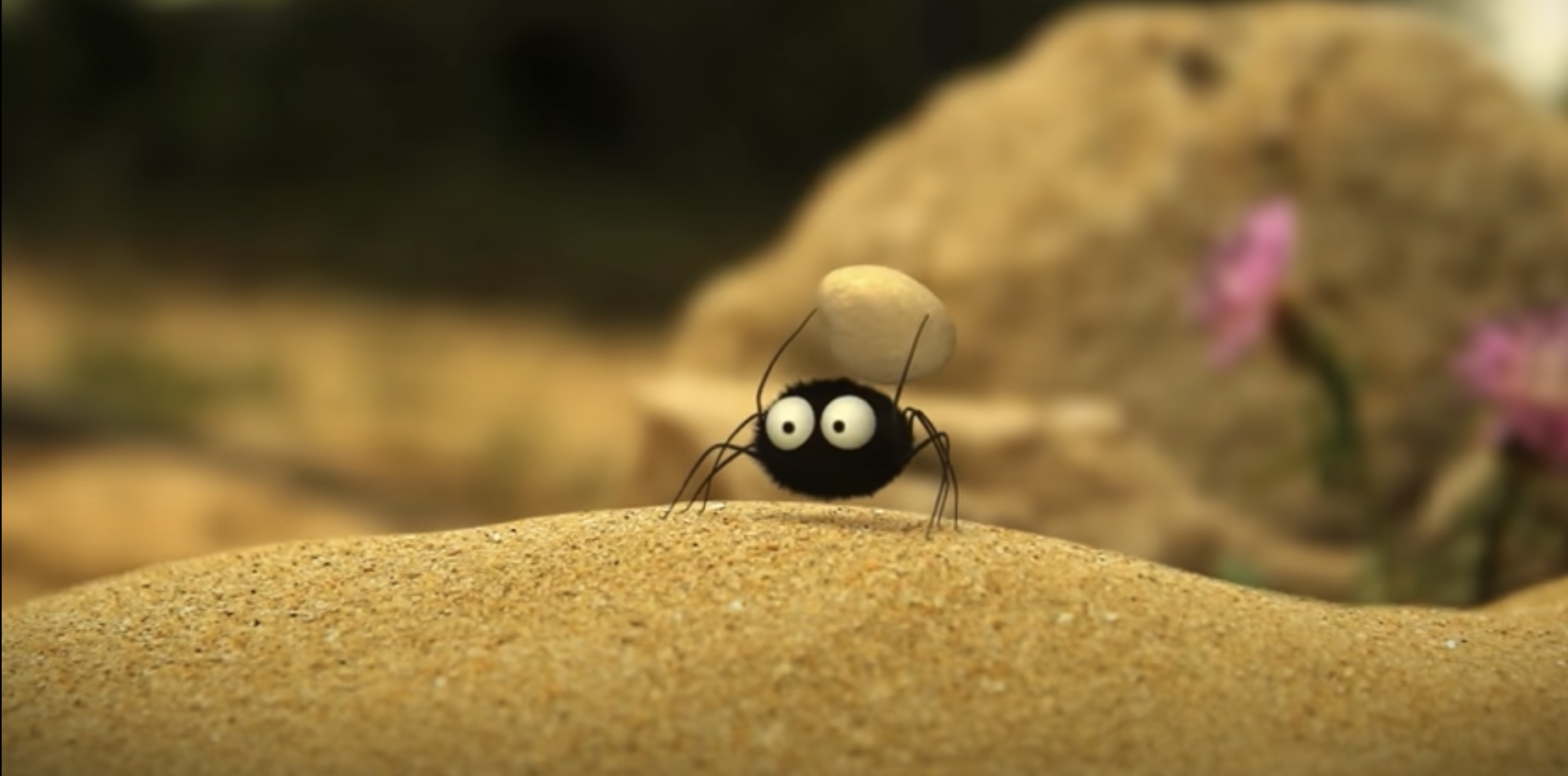 Miniscule bug holding up a rock