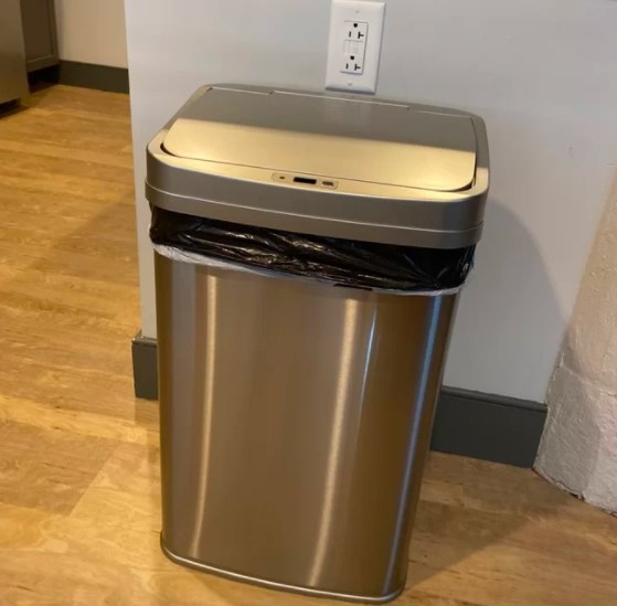Review photo of the silver motion sensor trash can