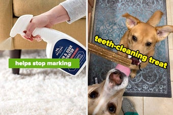 L: rocco and roxie stain and odor eliminator with text on the image that says "helps stop marking" R: two dogs staring longingly at a teeth-cleaning stick treat
