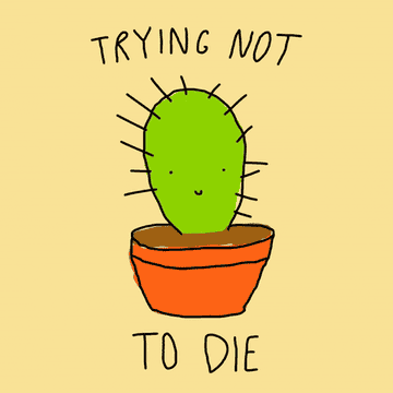 A smiling cactus in a pot with &quot;trying not to die&quot; typed around it