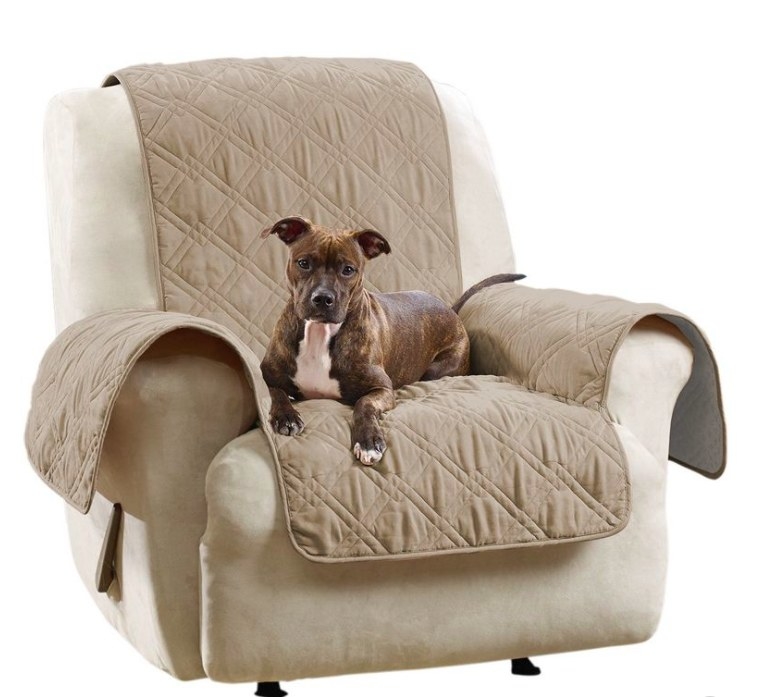 Dog sitting on armchair with chair cover