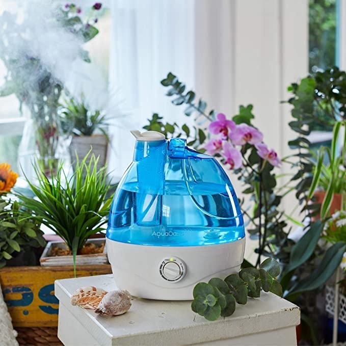 The humidifier sitting on a table in a room surrounded by plants