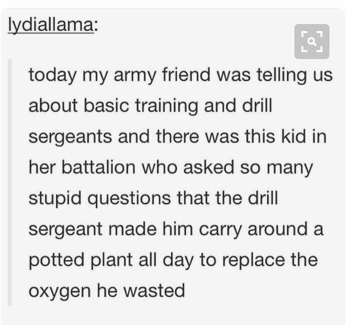 A person who had to carry a potted plant because they asked too many questions and were wasting oxygen