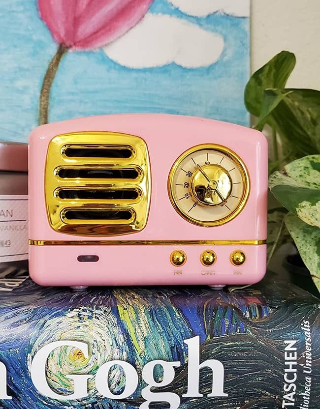 reviewer image of small pink retro speaker