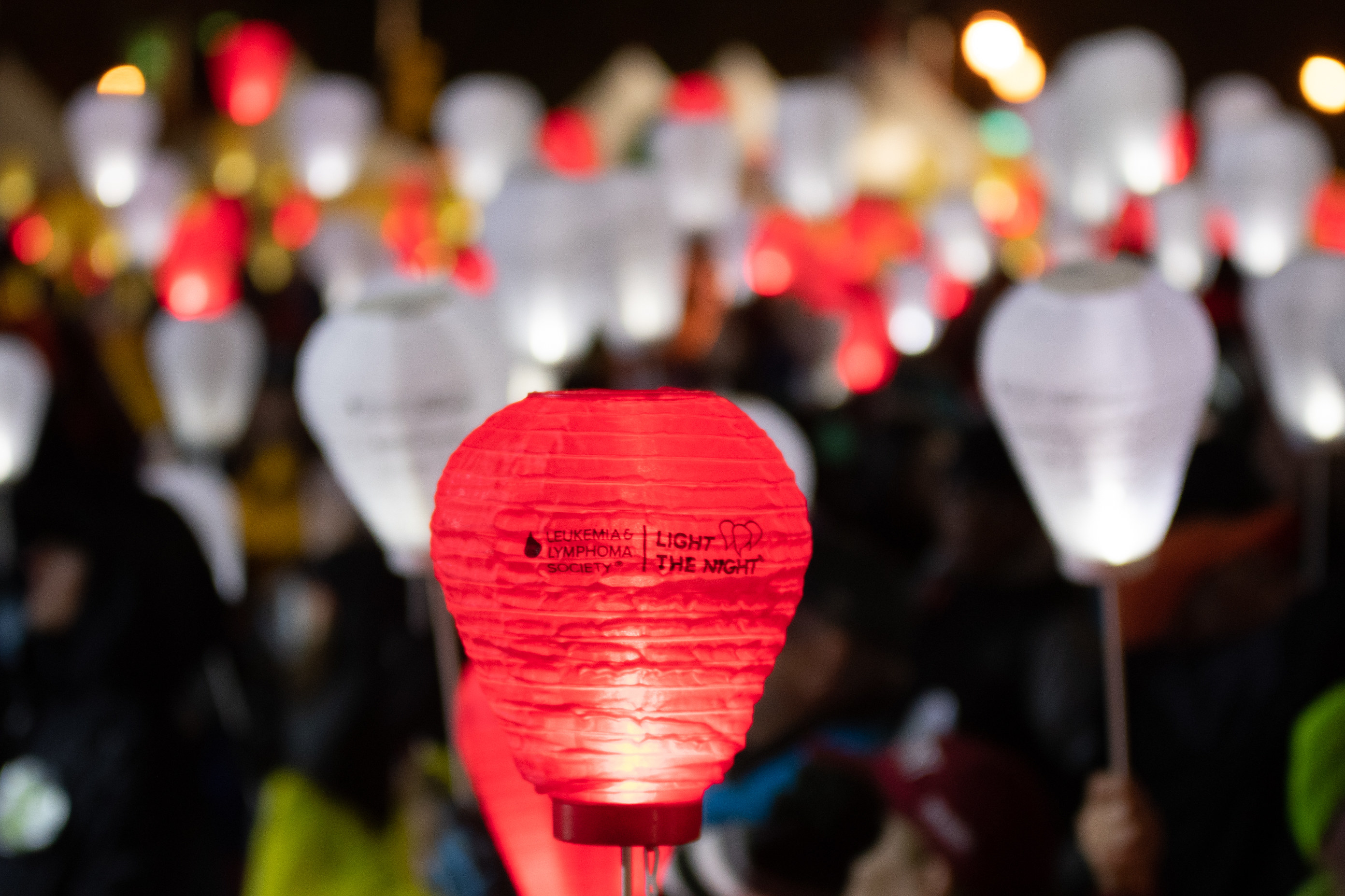 A crowd holding up lit paper lanterns at night