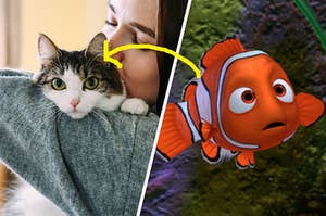 A woman holds a cat in her arms and Nemo swims through the ocean