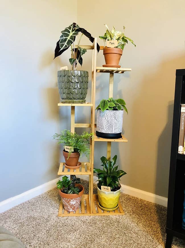 reviewer image of wooden plant stand with plants on each of its five tiers