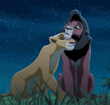 gif of 2 lions