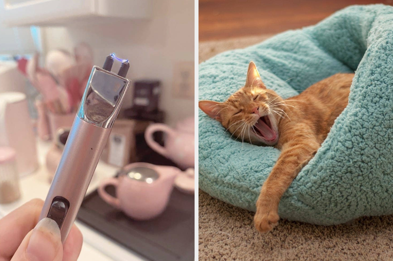 on the left a hand holding a rechargeable lighter; on the right a cat in a blue pet bed