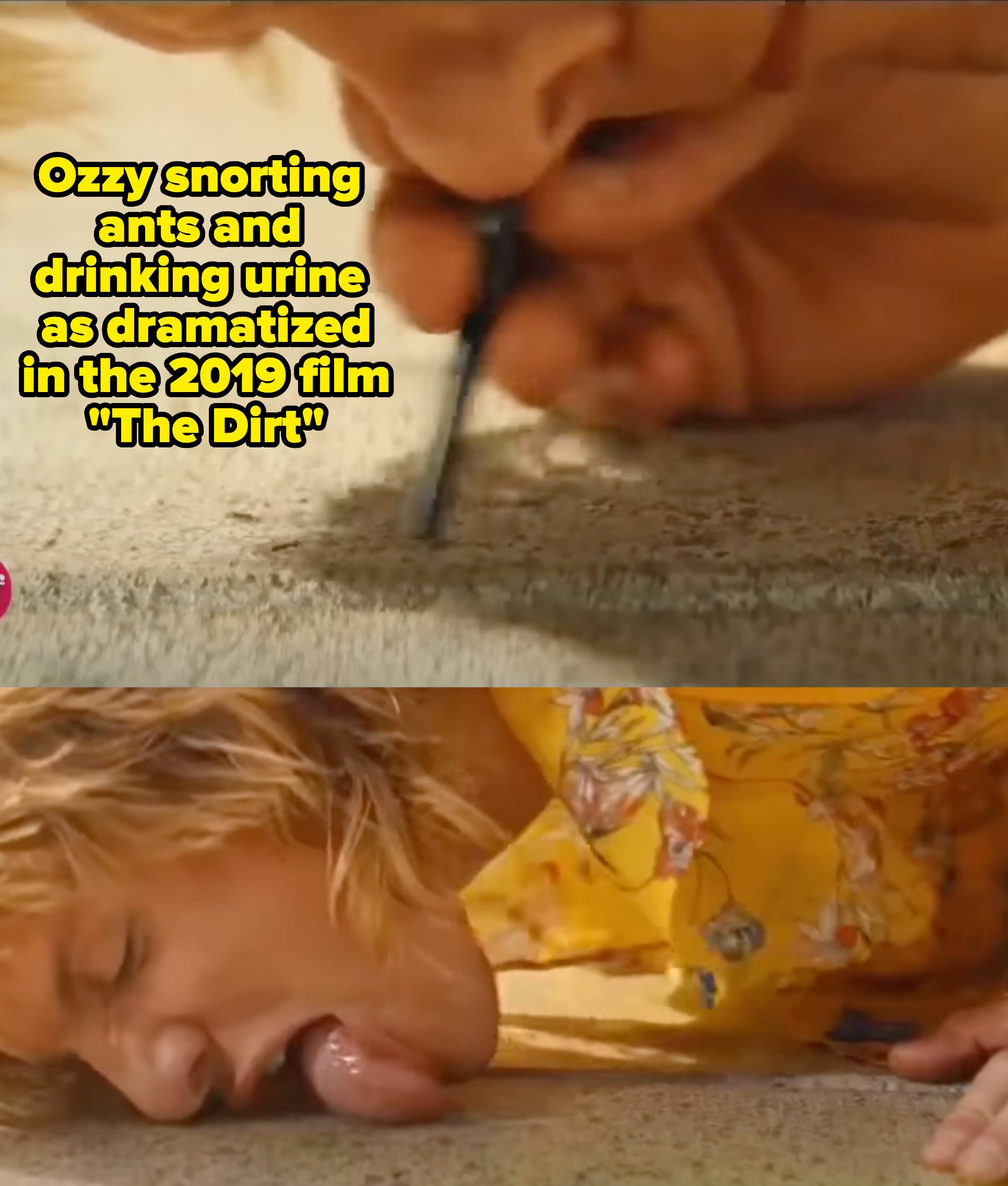 An actor portraying Ozzy drinks his own urine and snorts ants in the 2019 film the dirt