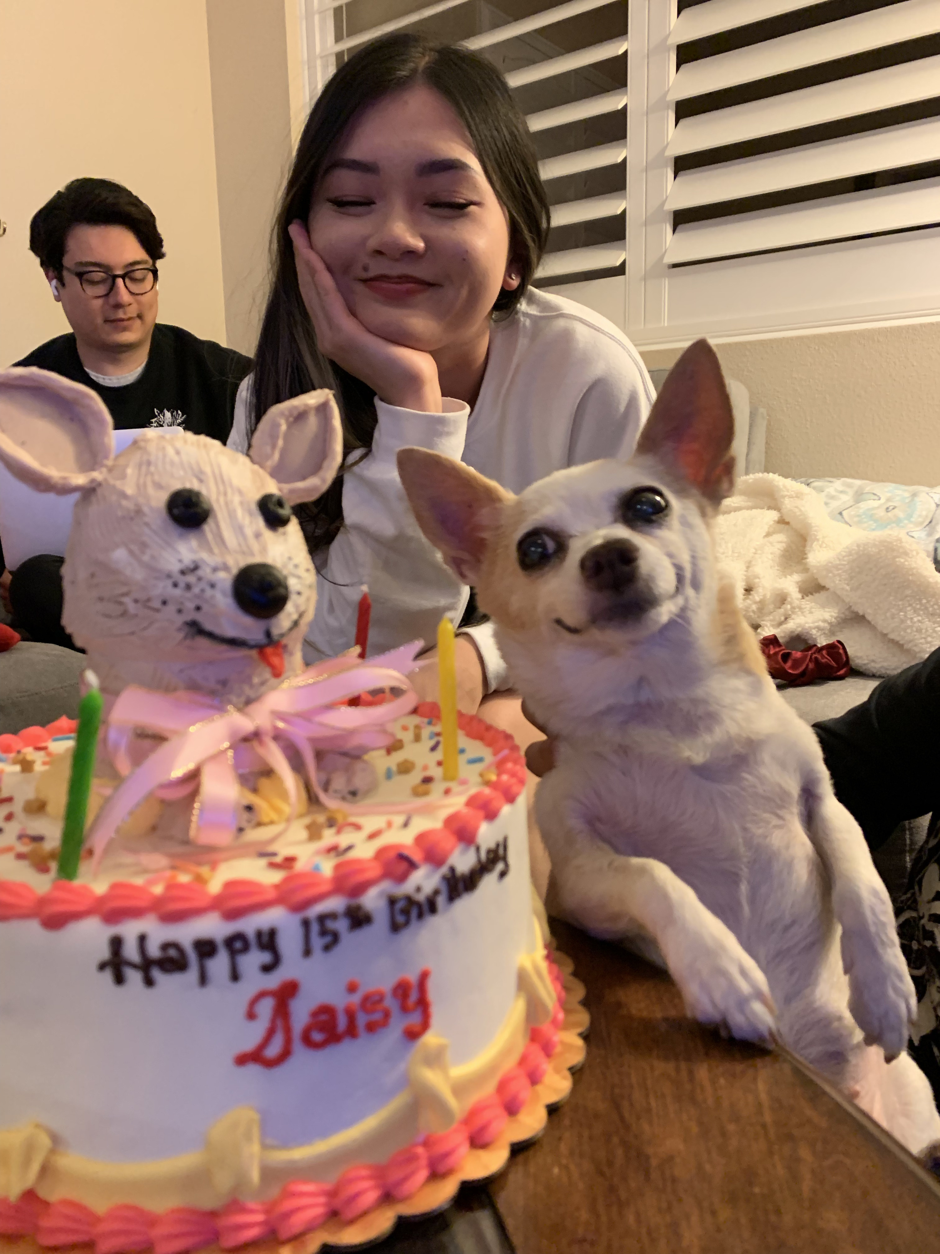 Daisy next to her birthday cake