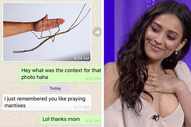 A mom sends a kid a photo of an insect she'll think he likes