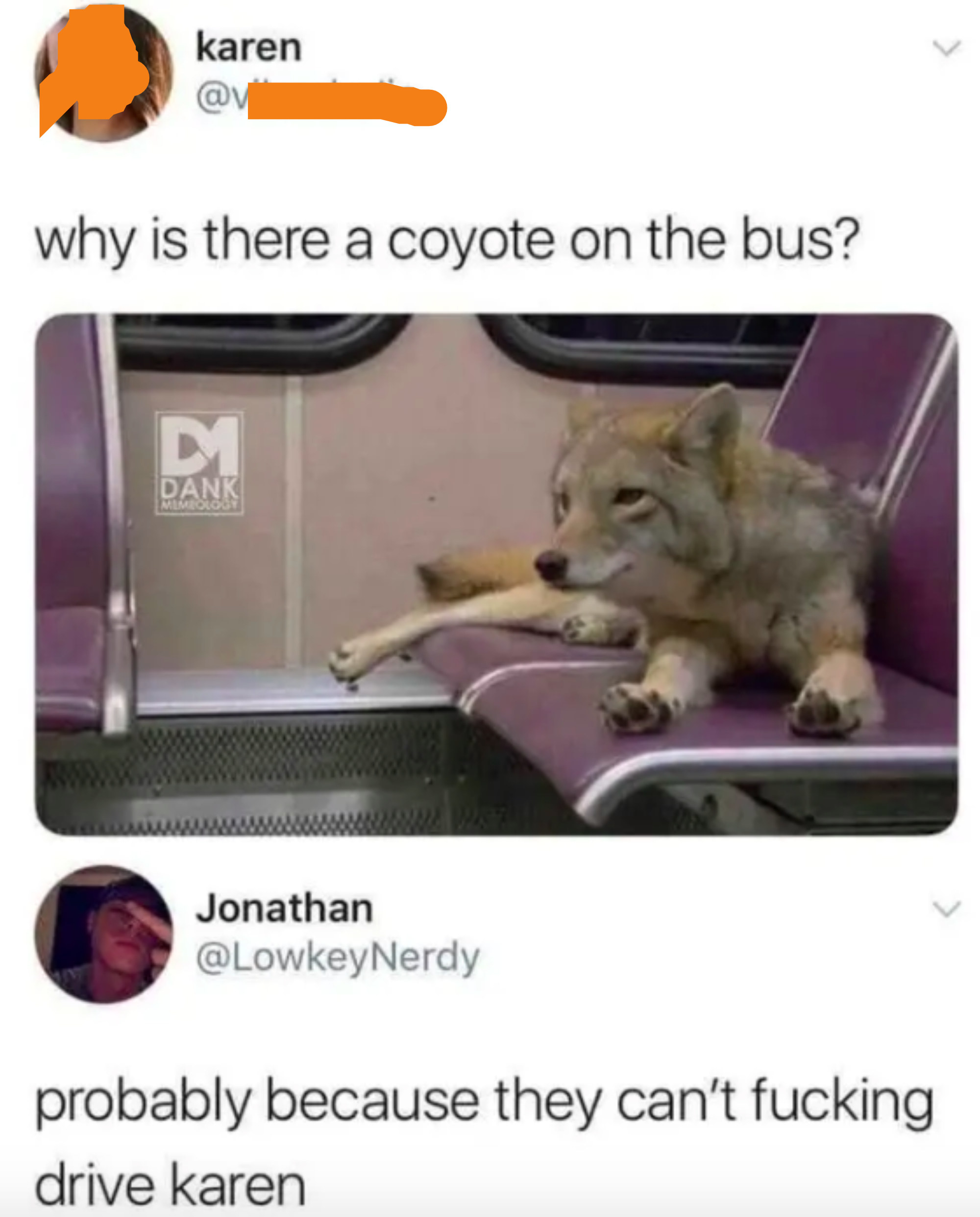 Wild-looking dog sitting on a bus seat, someone wonders why a coyote is on the bus, and someone responds probably because they can&#x27;t drive