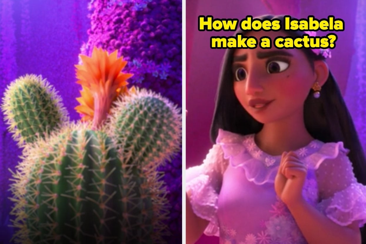 A cactus on the left and Isabela with the text &quot;How does Isabela make a cactus?&quot; on the right
