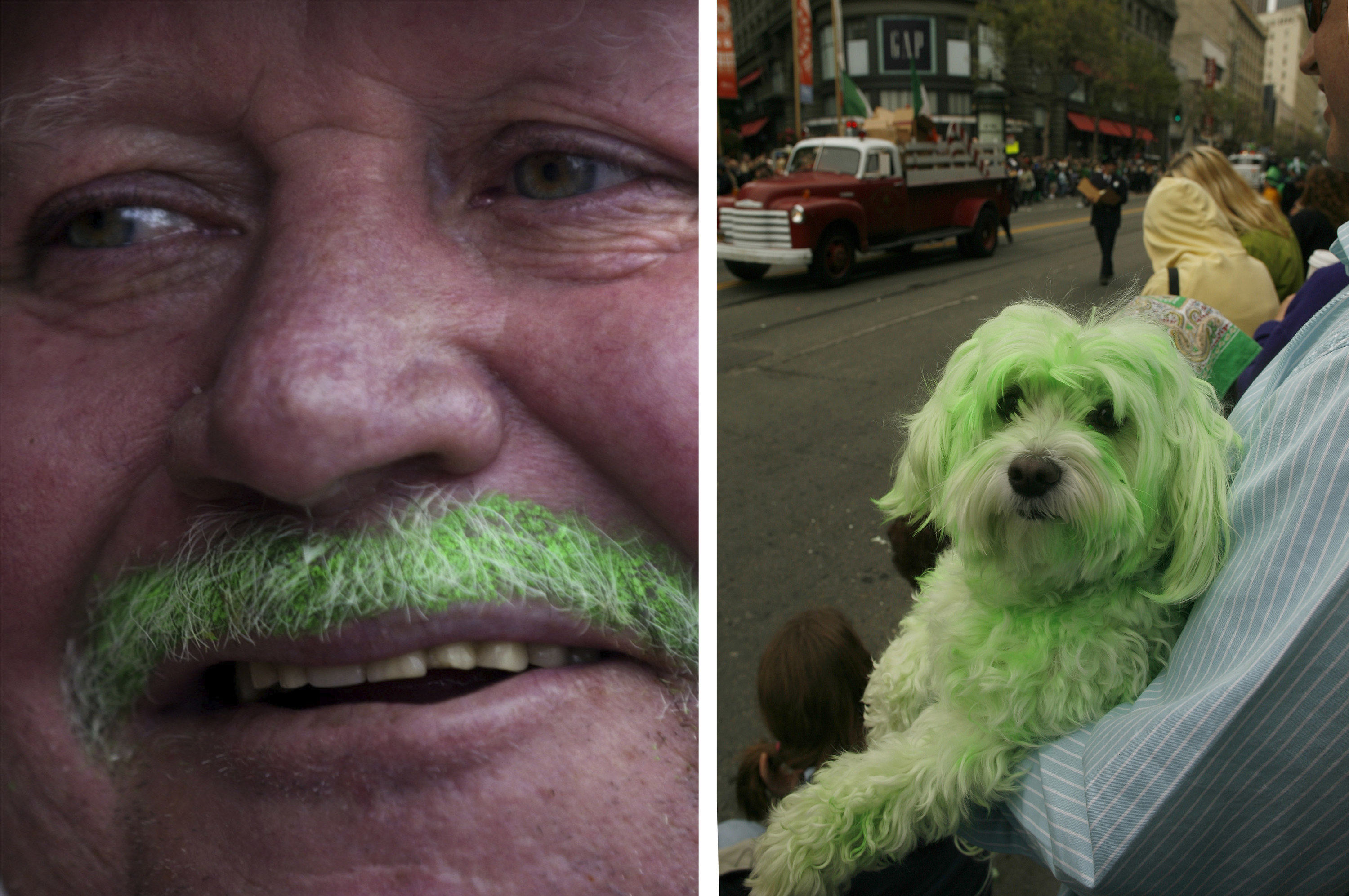 left, a closeup with a man with a green mustache, right a white dog dyed green carried by a man in a striped shirt