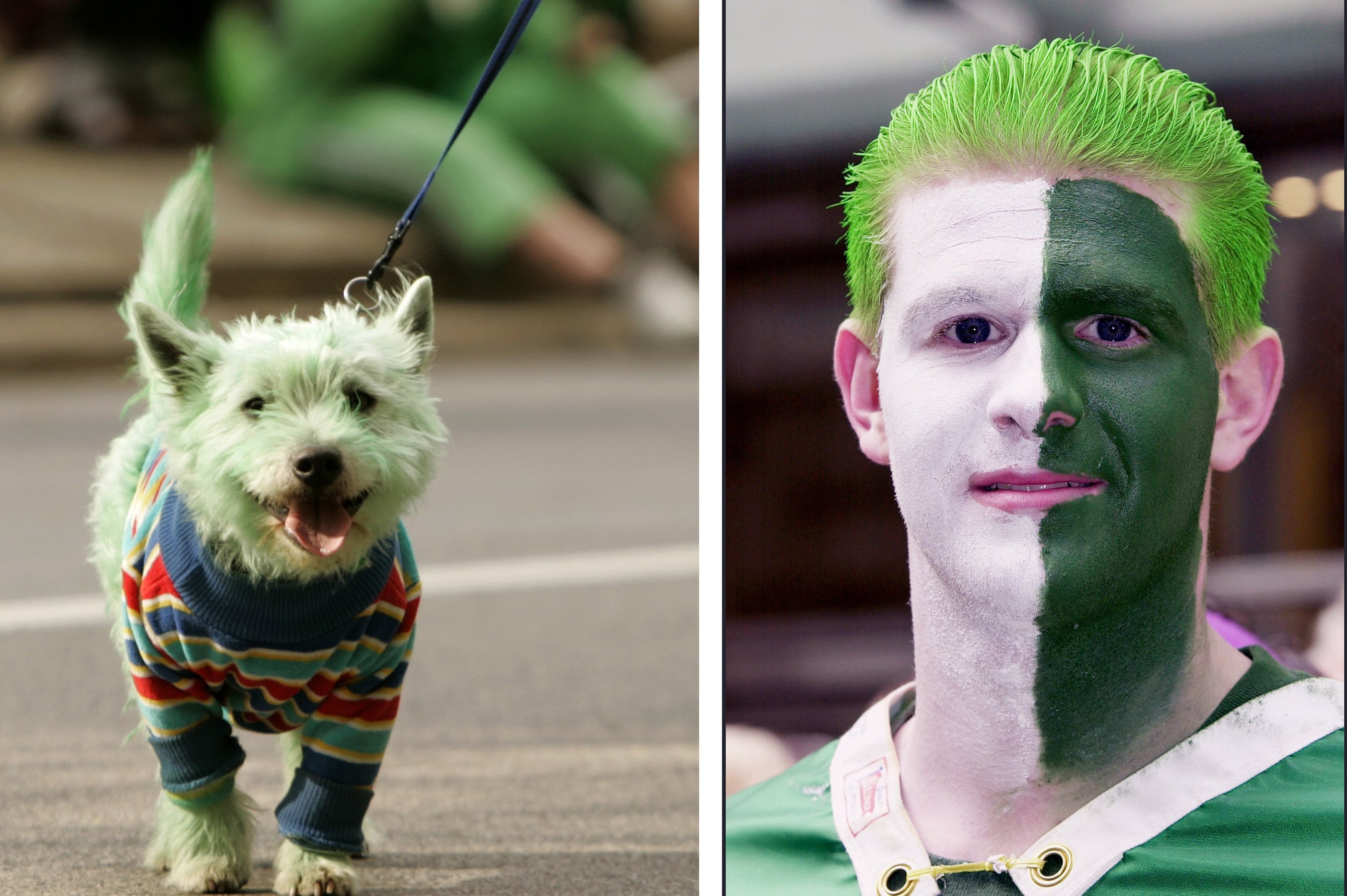 Left, a green dog in a sweater walks on a road. right, a man with green hair and his face painted white and green
