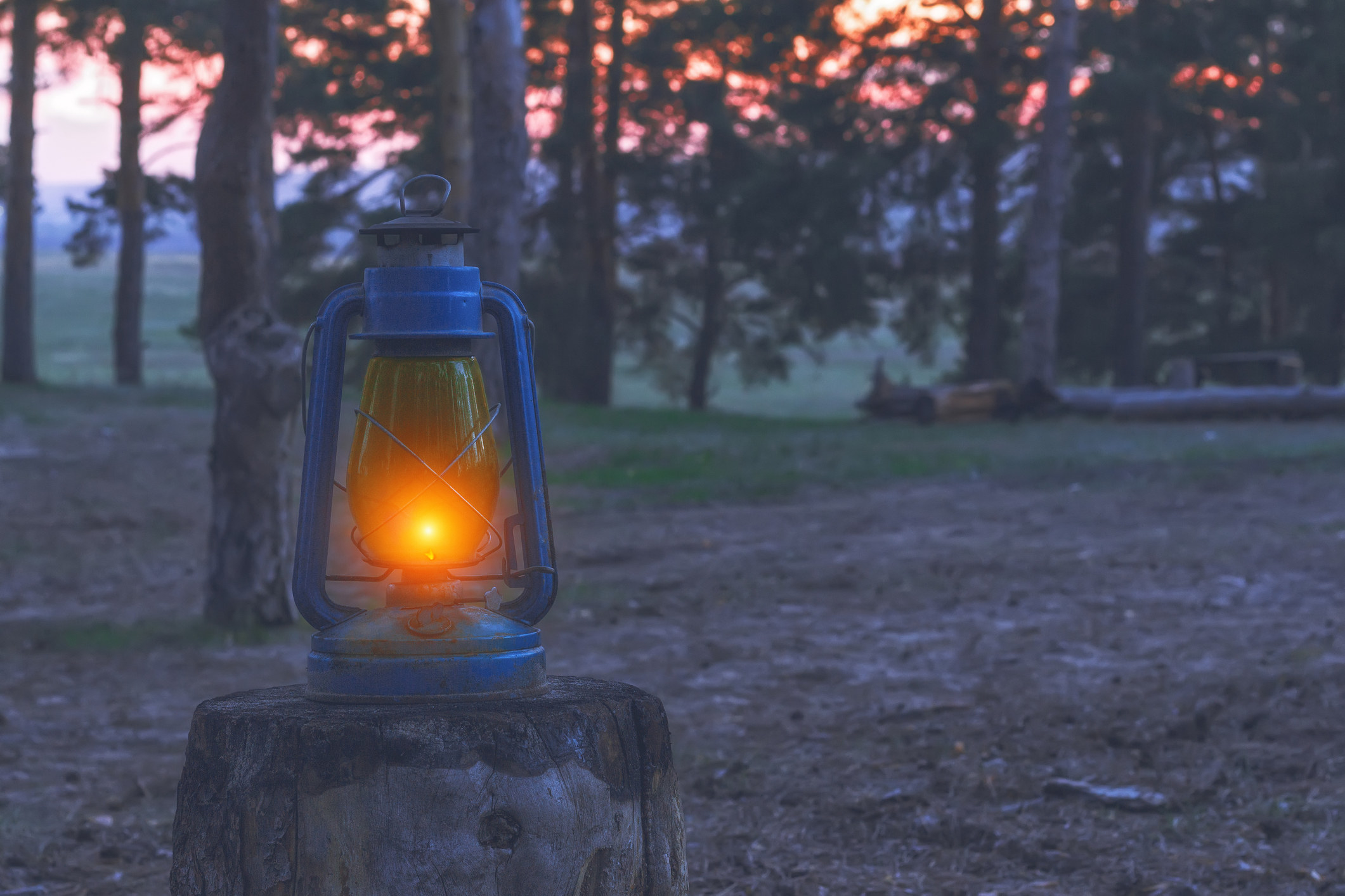 lantern on a tree stump