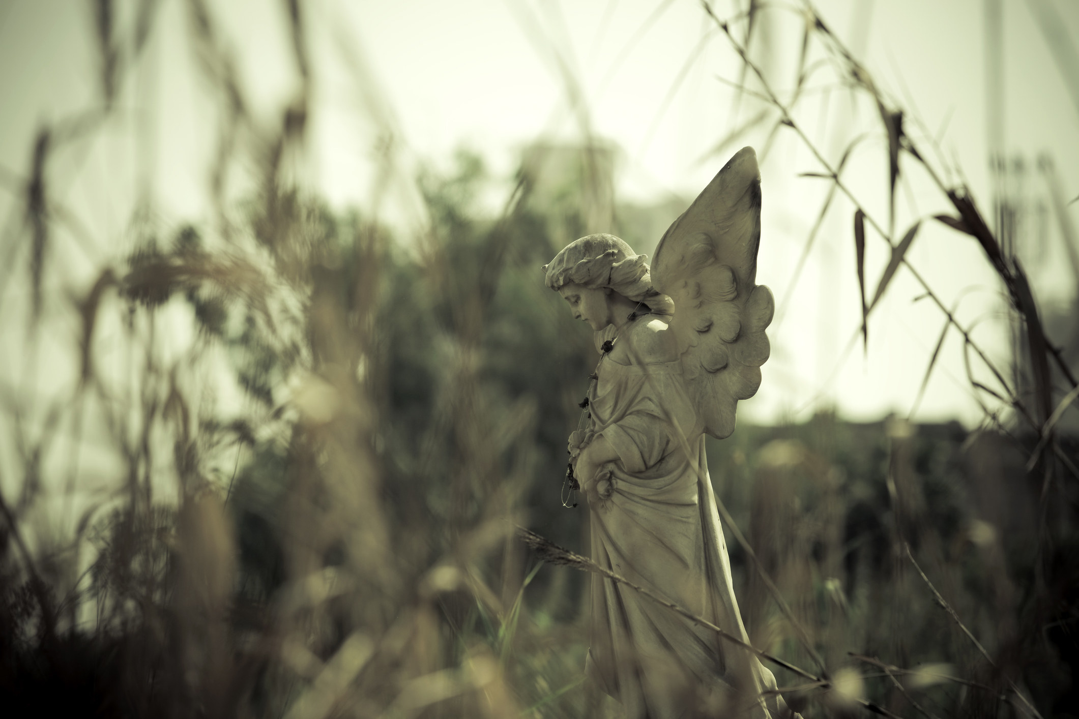 Broken angel statue
