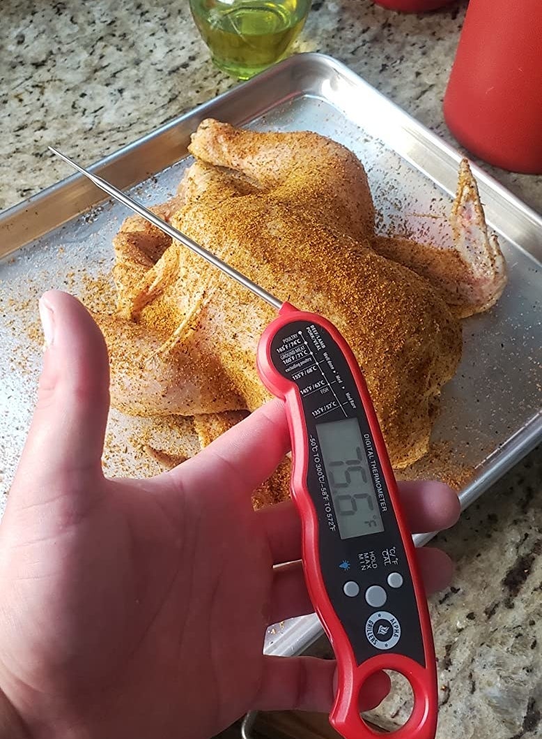 A reviewer holds up the thermometer in front of an uncooked chicken