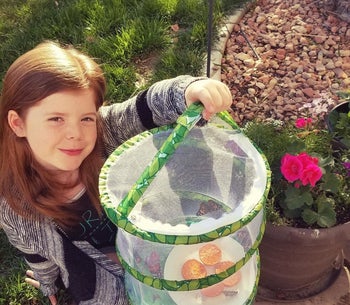 reviewer's child holding the butterfly in a mesh basket
