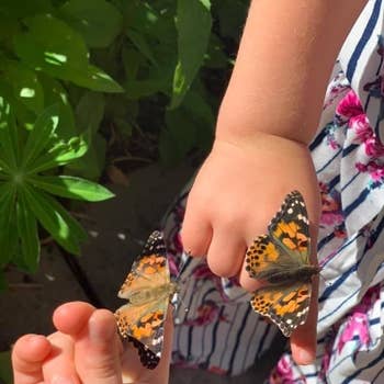 reviewer's children holding the butterflies